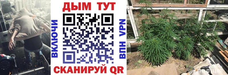 Канабис марихуана  Камышин 